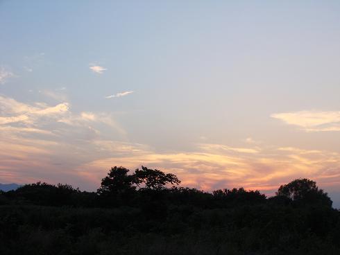 e0123808_16443732.jpg