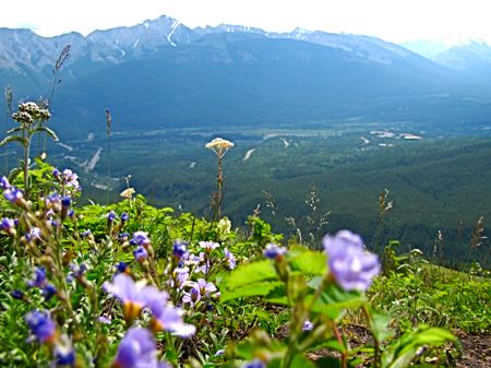 『カナナスキス』のハイキング 『Centennial Ridge』_b0051109_95239.jpg