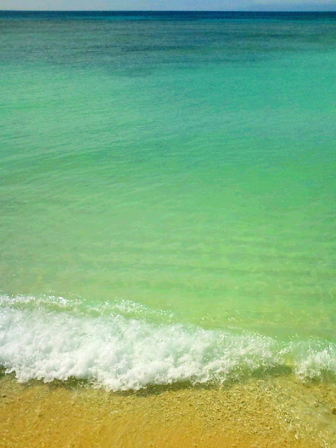 f0023210_2021938.jpg