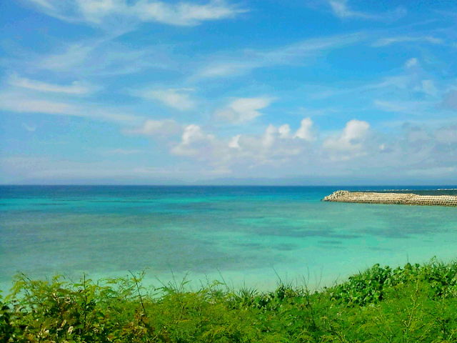 f0023210_2021981.jpg
