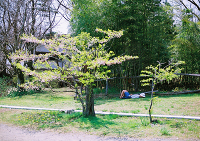 f0121111_21505926.jpg