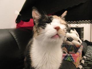 c0201113_22354.jpg