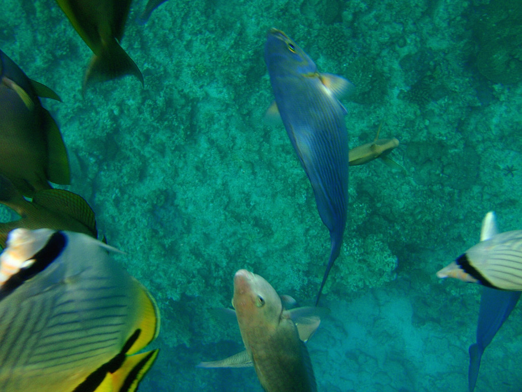 b0109815_22271144.jpg