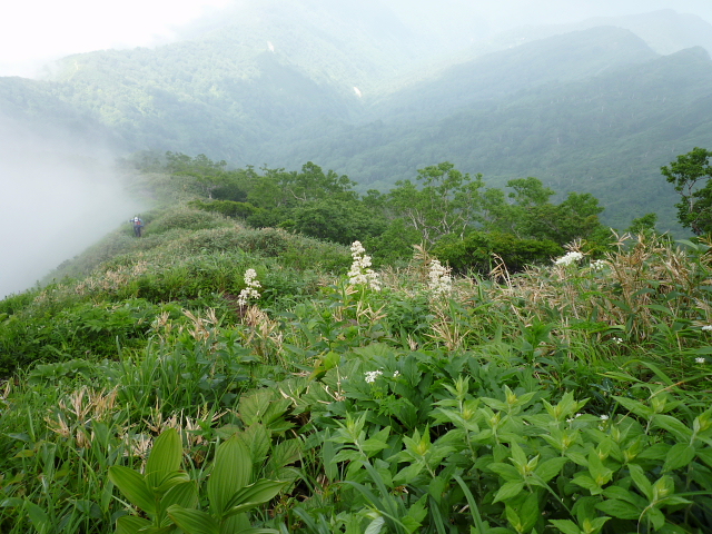 個人山行　　三ノ峰  2,128M　NO2_d0170615_13335851.jpg