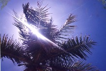 a0116217_21363430.jpg