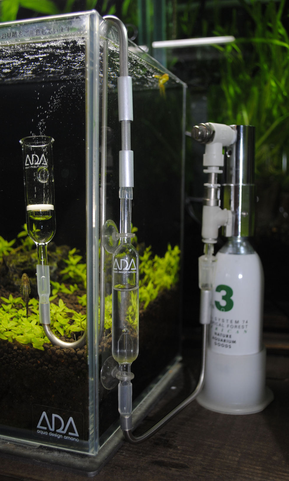 Co2配管 ほぼオールメタル化 魚たちのつぶやき
