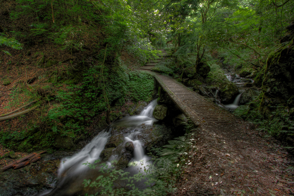 f0004525_99425.jpg