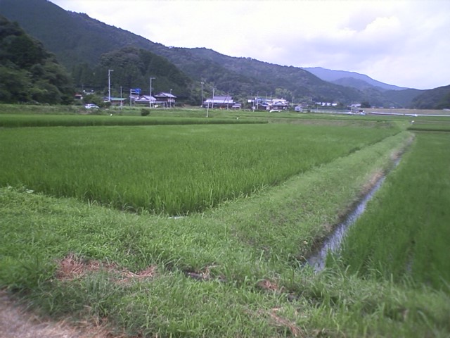 c0117028_22223825.jpg
