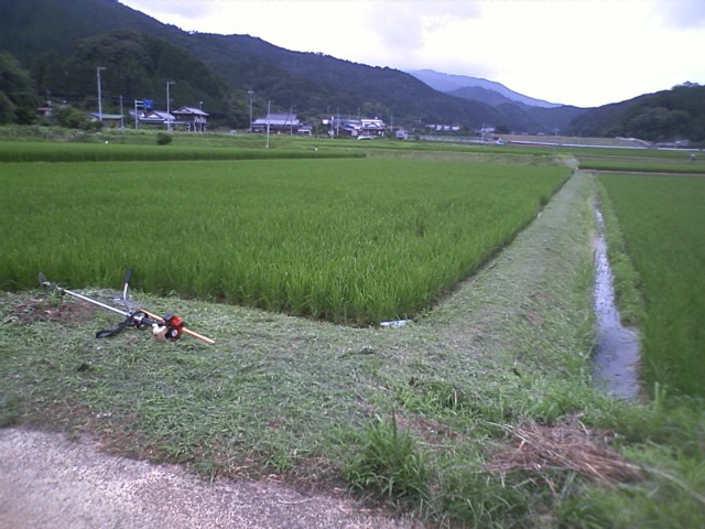 c0117028_22223859.jpg