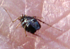 f0108133_735184.jpg
