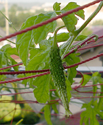 f0108133_9201335.jpg