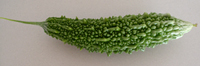 f0108133_9203187.jpg