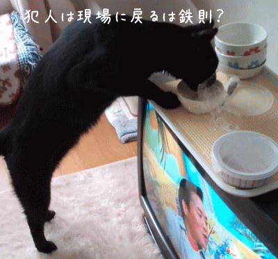 a0166338_20233849.gif