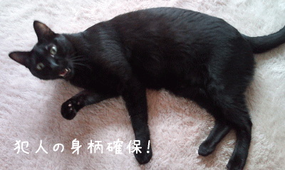 a0166338_20242460.gif