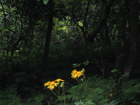 c0077338_22331323.jpg