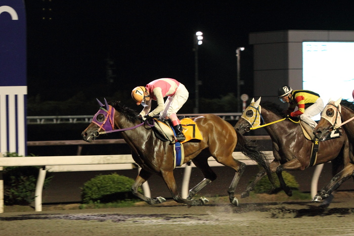 2010年7月11日（日） 高知競馬 9R 鯨ウォッチング特別 B-2_a0077663_2152186.jpg