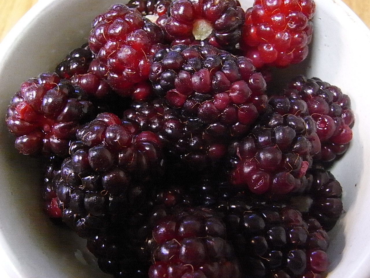 ローガンベリー収穫始まりました Kumi S Very Merry Happy Berries