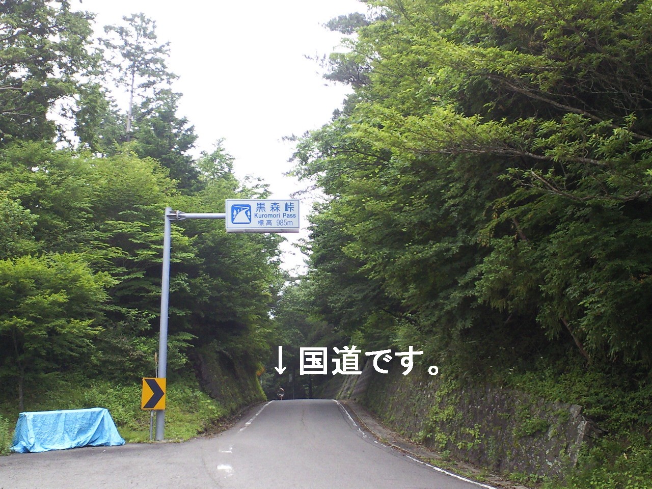 c0001670_22425496.jpg