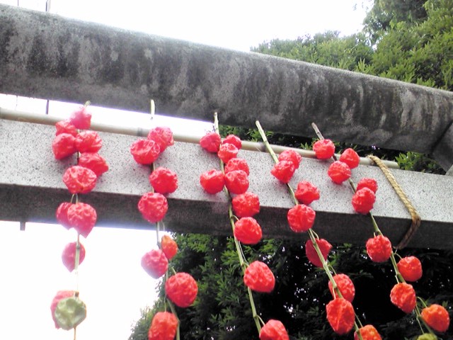 f0036670_2072326.jpg