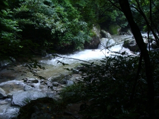 d0182075_185023.jpg