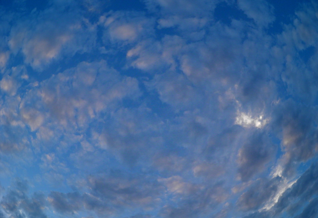 小さな空、、、_b0093678_1865960.jpg