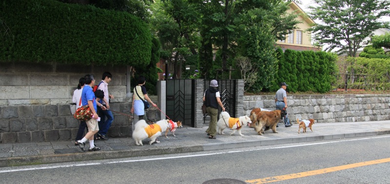 ゲスト多数の横浜散歩会　パート3（たぶん最終回？）_c0129381_1248826.jpg