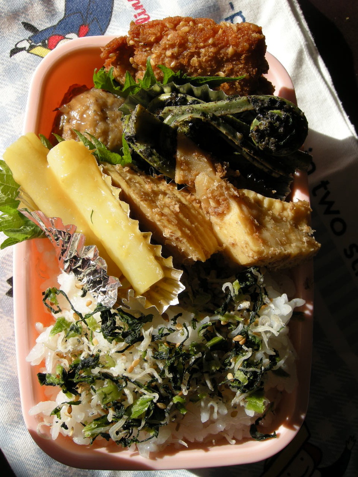 圧縮窒息弁当 ソーニャの食べればご機嫌 圧縮窒息弁当 ソーニャの食べればご機嫌