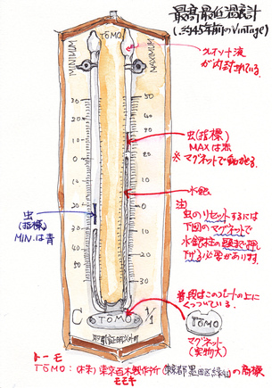 Face シリーズ Part2 Mackenの絵日記