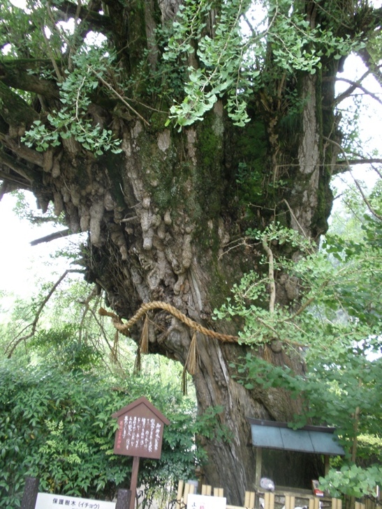 d0045588_1511599.jpg
