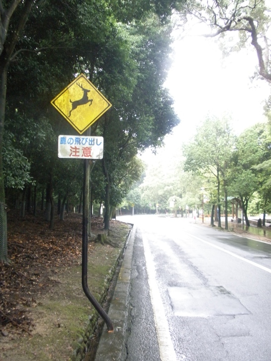 d0045588_15171186.jpg