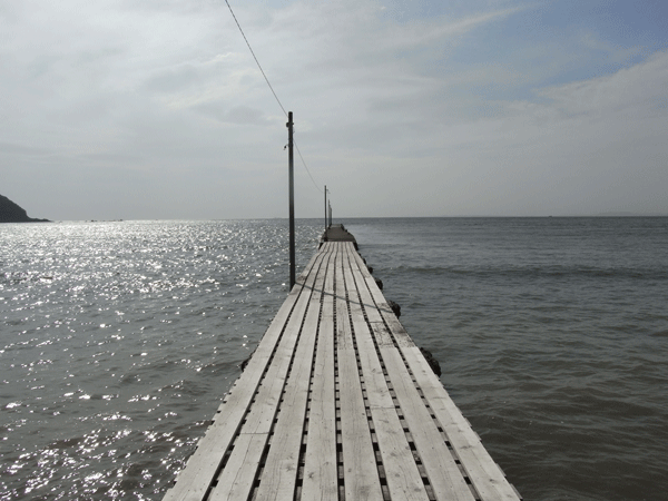 a0110898_23263198.gif