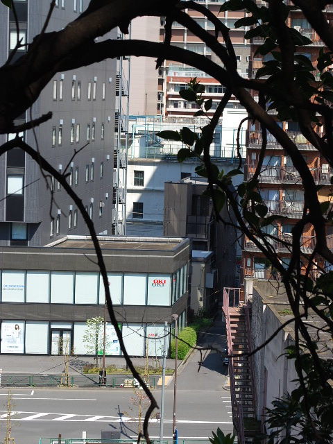 東京都港区旧愛宕高等小学校(昭和モダン建築探訪)_f0142606_18594960.jpg