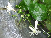 f0188408_12474593.jpg