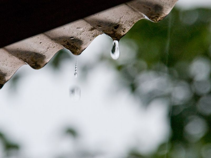 梅雨もそろそろ・・・_a0085317_1653056.jpg