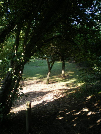 c0124619_031072.jpg