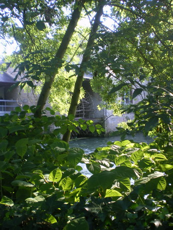 c0124619_031403.jpg