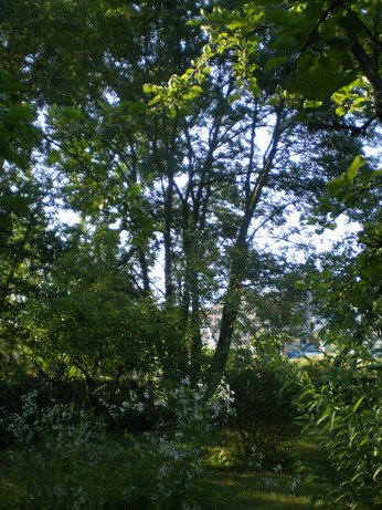 c0124619_0324680.jpg