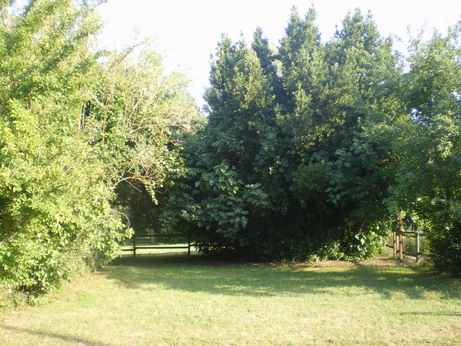 c0124619_0341546.jpg