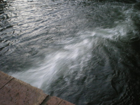 c0124619_0355624.jpg