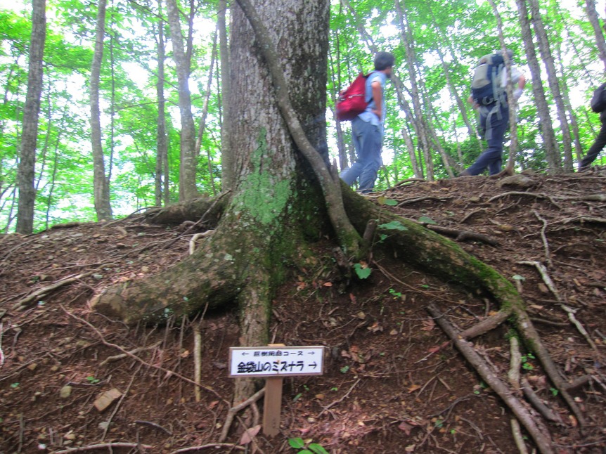 金袋山　1,325m　奥多摩・日原_d0156625_194239.jpg