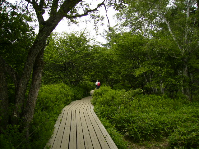 f0204425_15444878.jpg