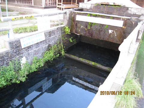 d0034336_2132568.jpg