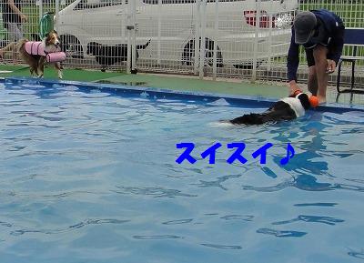 夏だプールだ楽しいな♪_e0195743_14321612.jpg