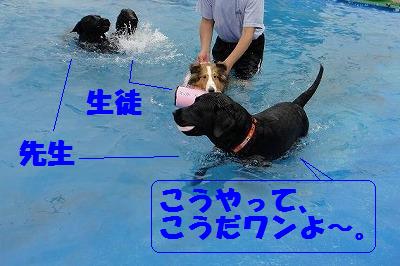 夏だプールだ楽しいな♪_e0195743_14325817.jpg