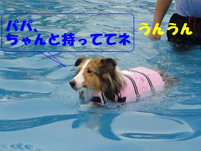 夏だプールだ楽しいな♪_e0195743_14331170.jpg