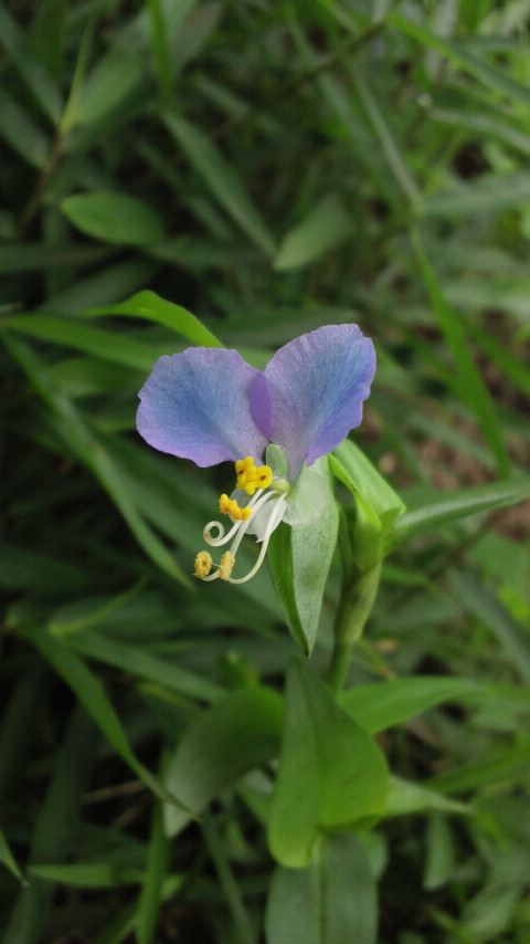 f0236744_03137.jpg