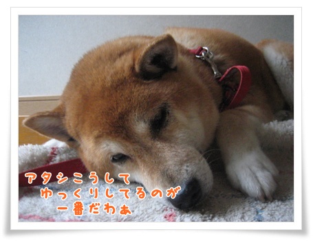 なぜ左ばっかり?_c0049950_8135396.jpg