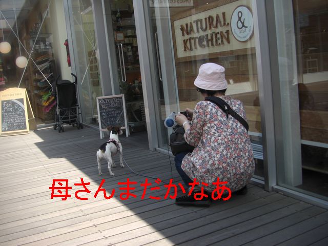 f0053952_12465087.jpg