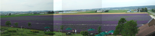 c0097856_23591963.gif