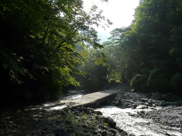 H22.07.10　梅雨の晴れ間に七面山＆アケボノ平_e0050472_13142071.jpg